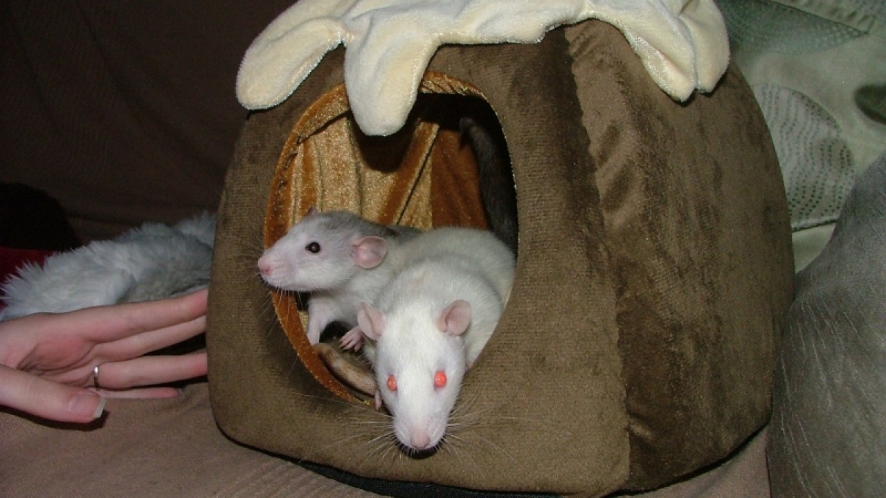 dscf6702.jpg